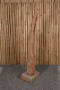  Product image 6 of the product “Root with stand made of teak wood about 160cm height ”